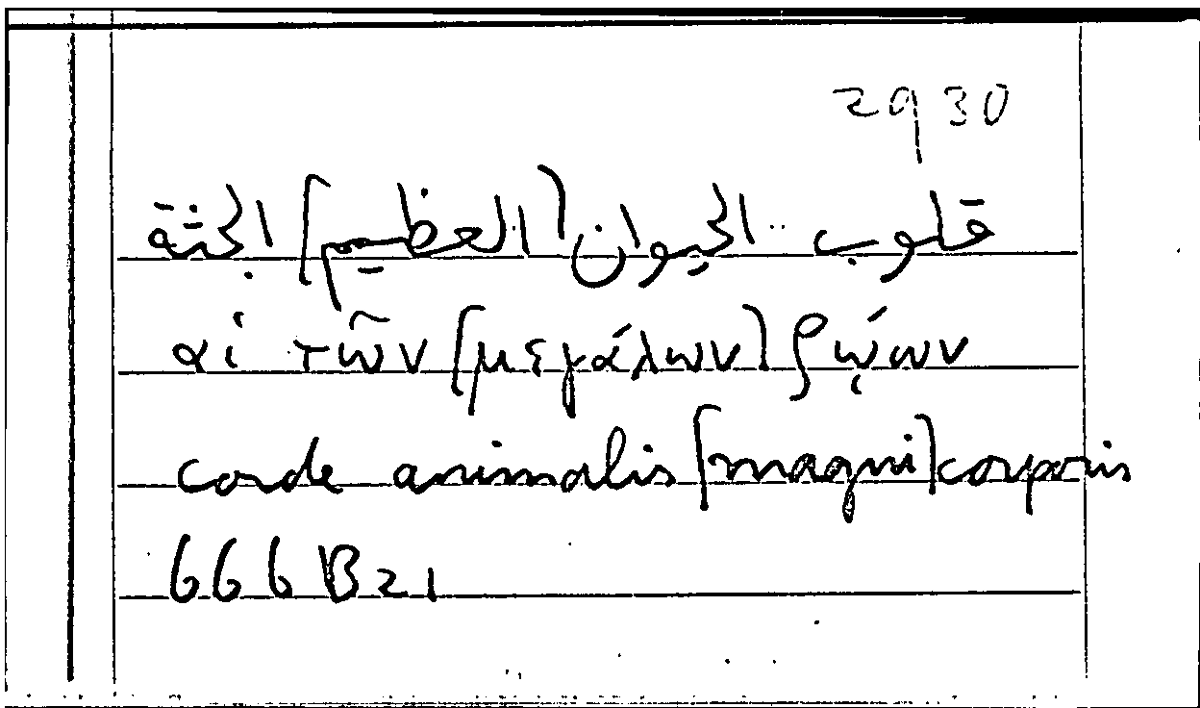 Filecard Arist.Part-anim.21991