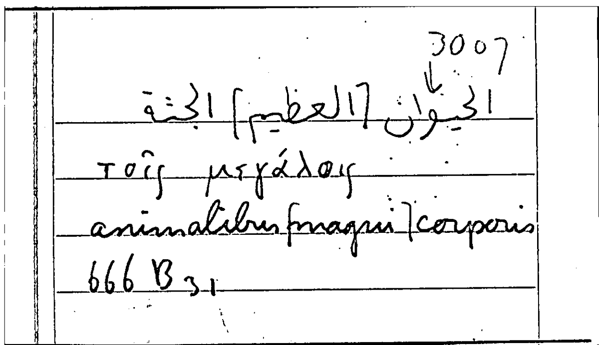 Filecard Arist.Part-anim.21993