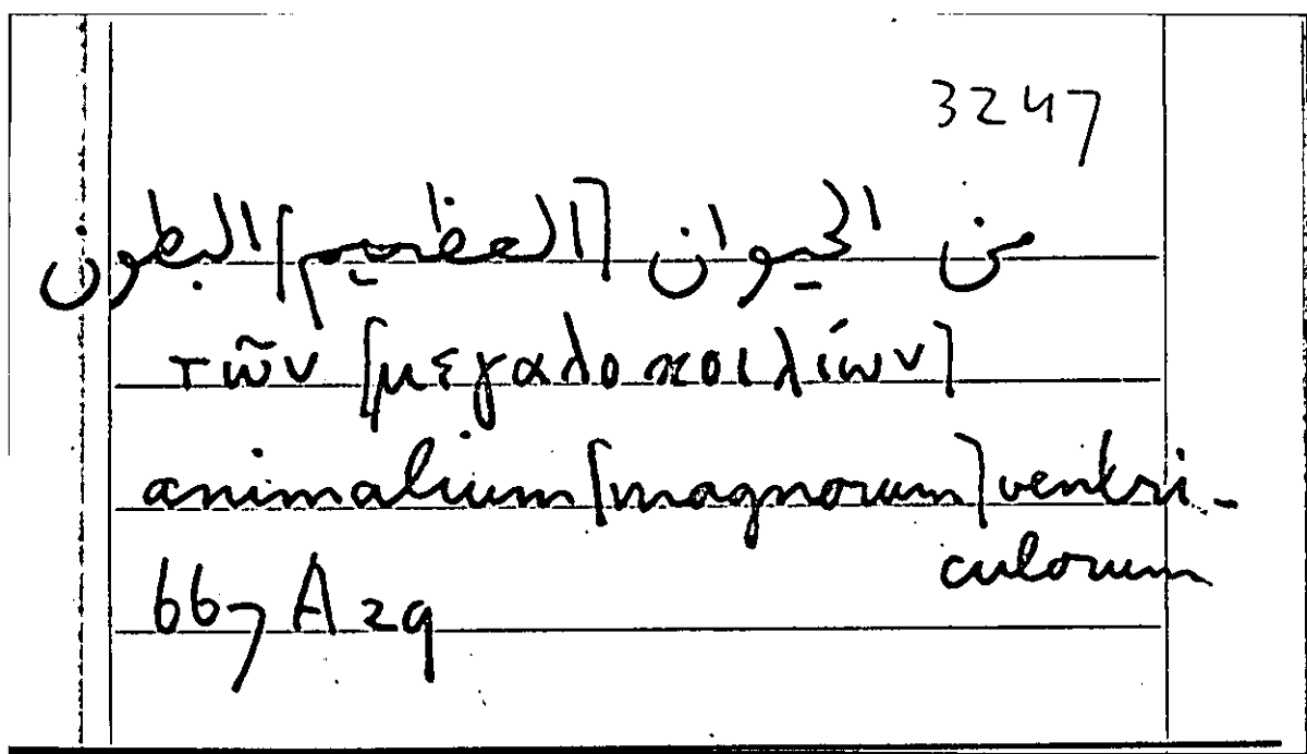 Filecard Arist.Part-anim.21994