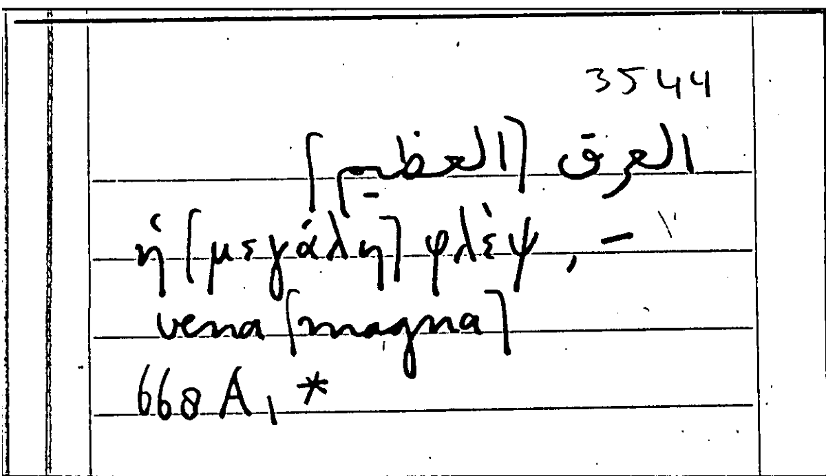 Filecard Arist.Part-anim.21998