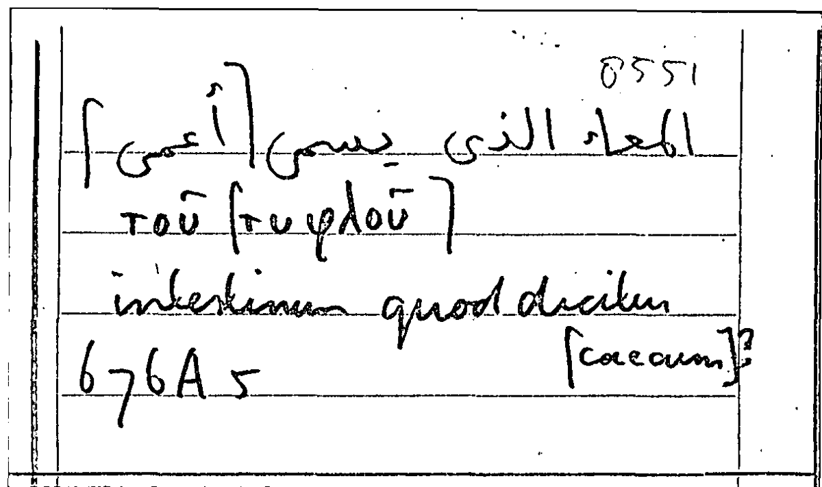 Filecard Arist.Part-anim.22223