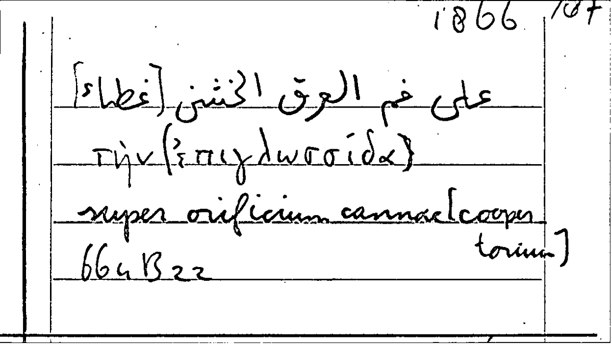 Filecard Arist.Part-anim.30129
