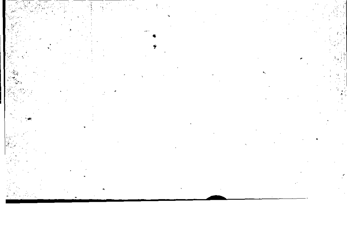 Filecard Arist.Part-anim.30432