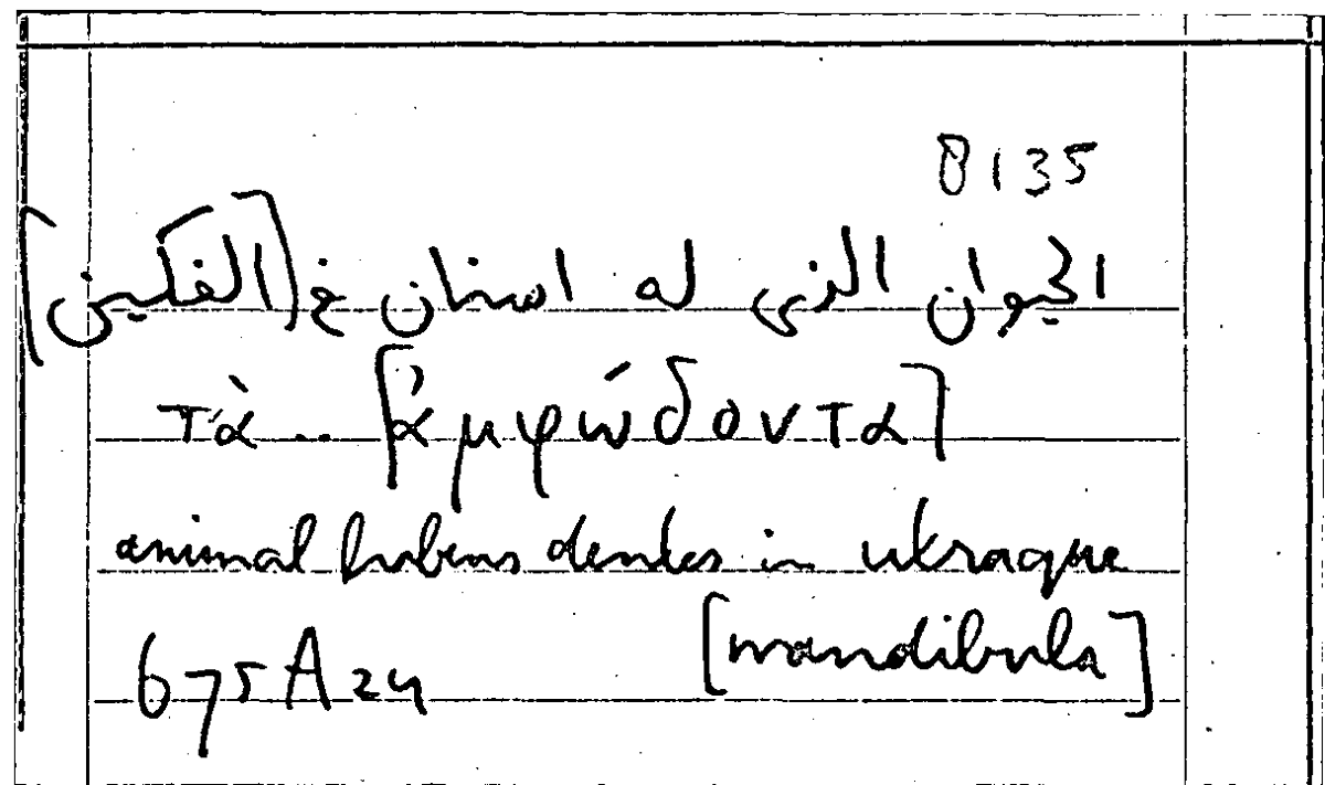 Filecard Arist.Part-anim.30553