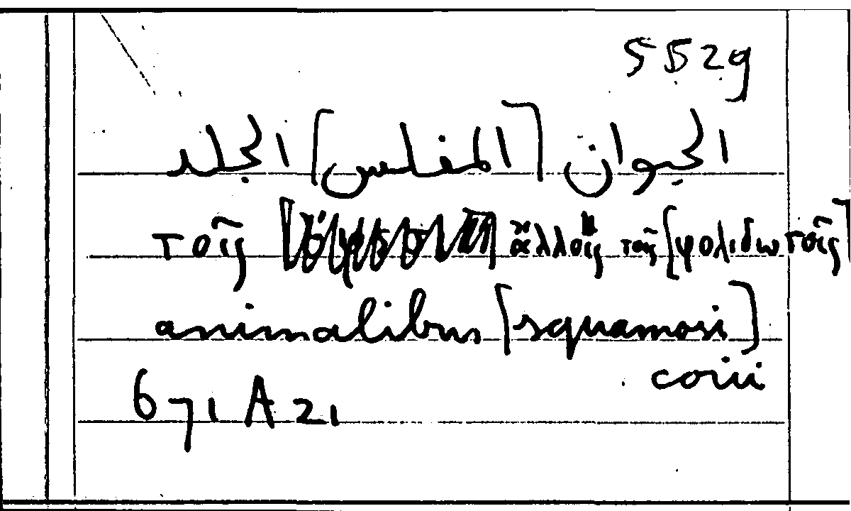 Filecard Arist.Part-anim.30560