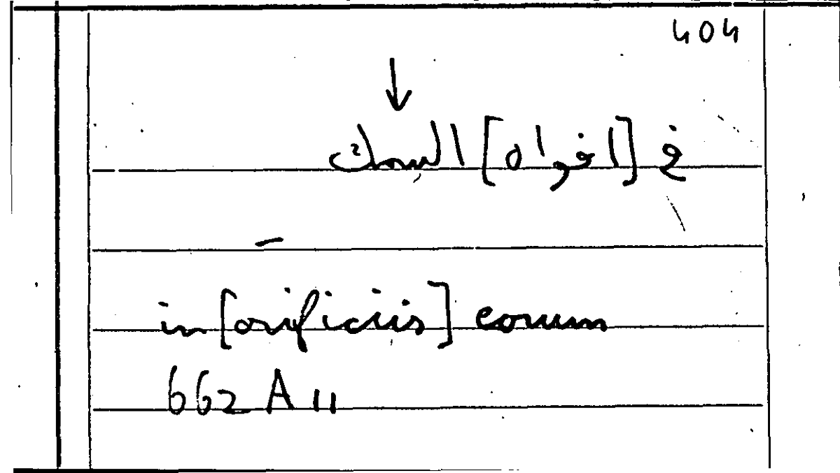 Filecard Arist.Part-anim.30586
