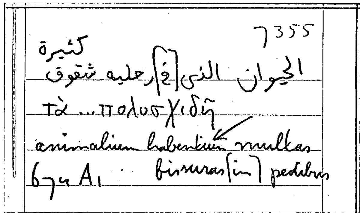 Filecard Arist.Part-anim.30795