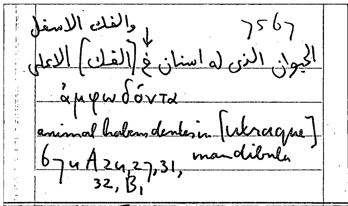 Filecard Arist.Part-anim.30798