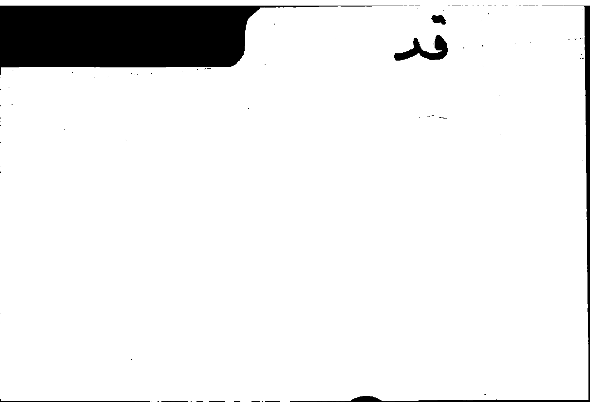 Filecard Arist.Part-anim.30959