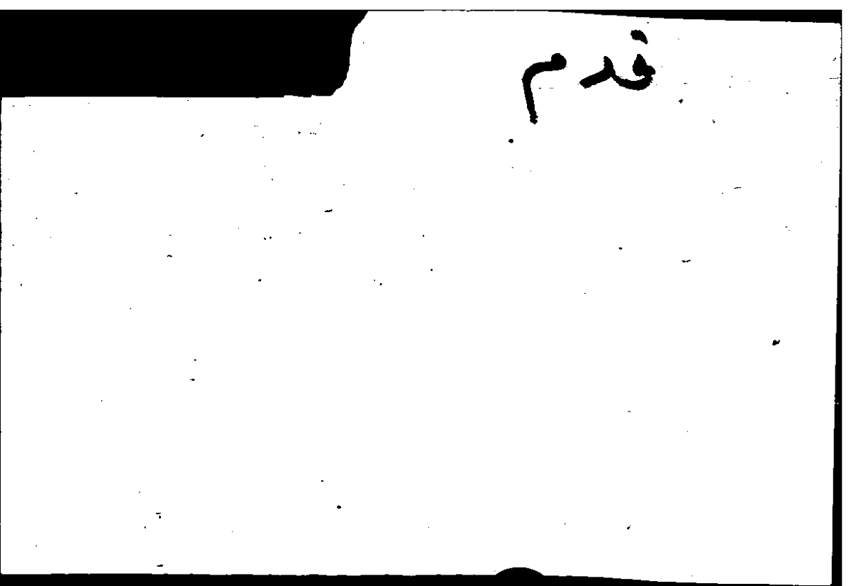 Filecard Arist.Part-anim.31007