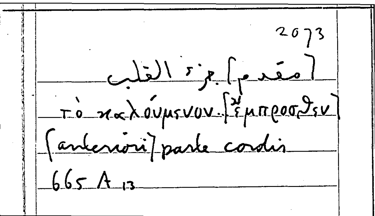 Filecard Arist.Part-anim.31011