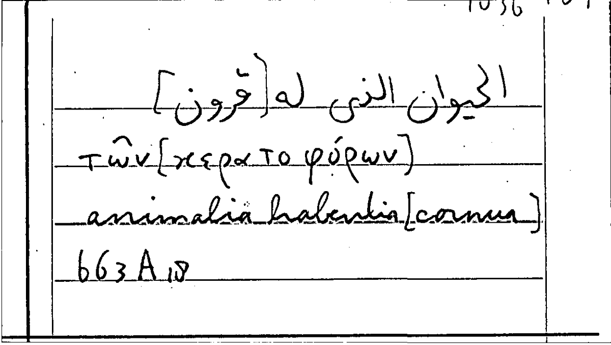 Filecard Arist.Part-anim.31049