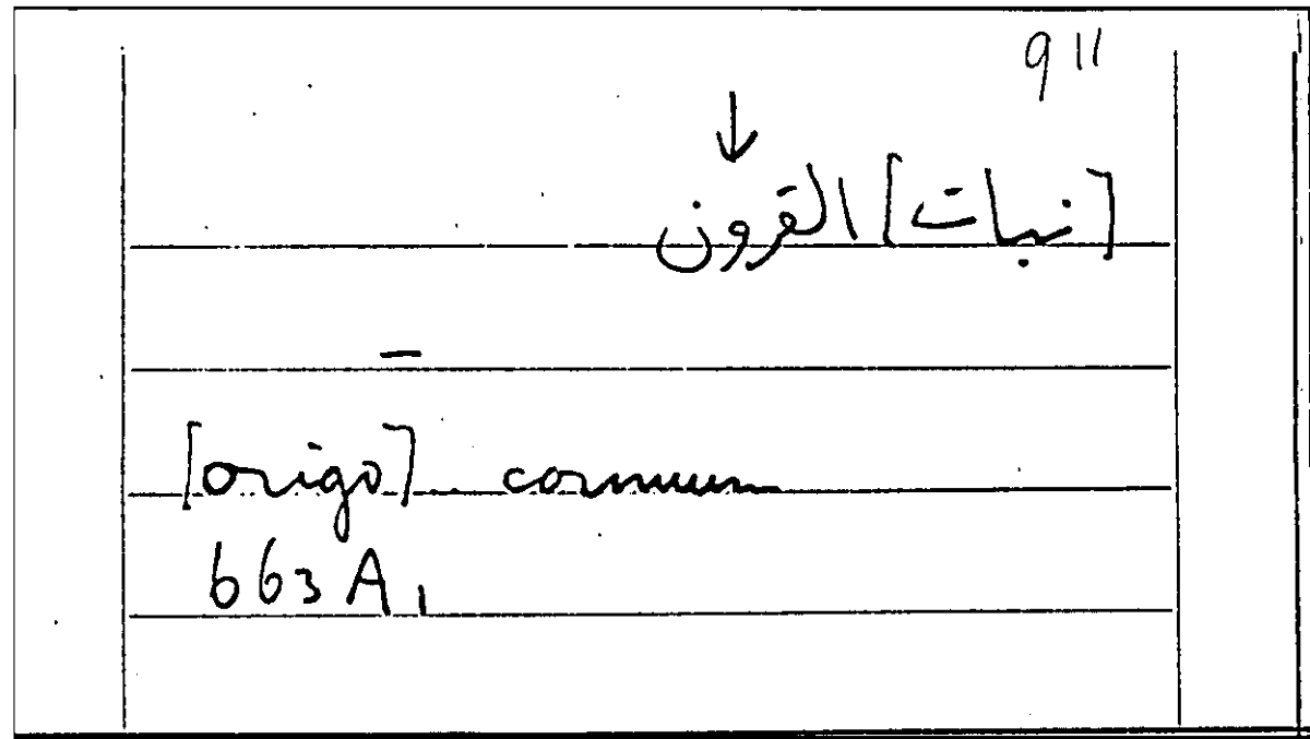 Filecard Arist.Part-anim.31051
