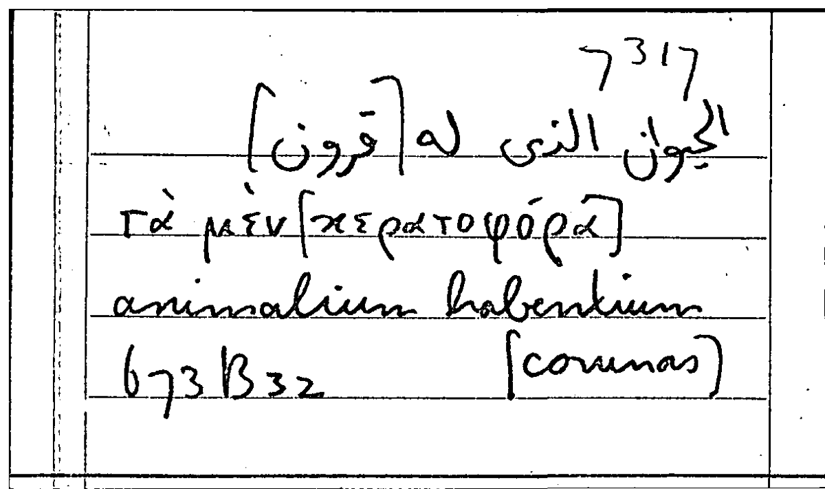 Filecard Arist.Part-anim.31059