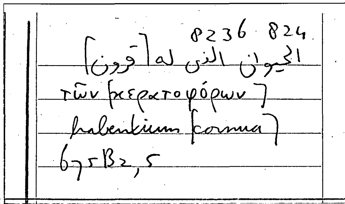 Filecard Arist.Part-anim.31064
