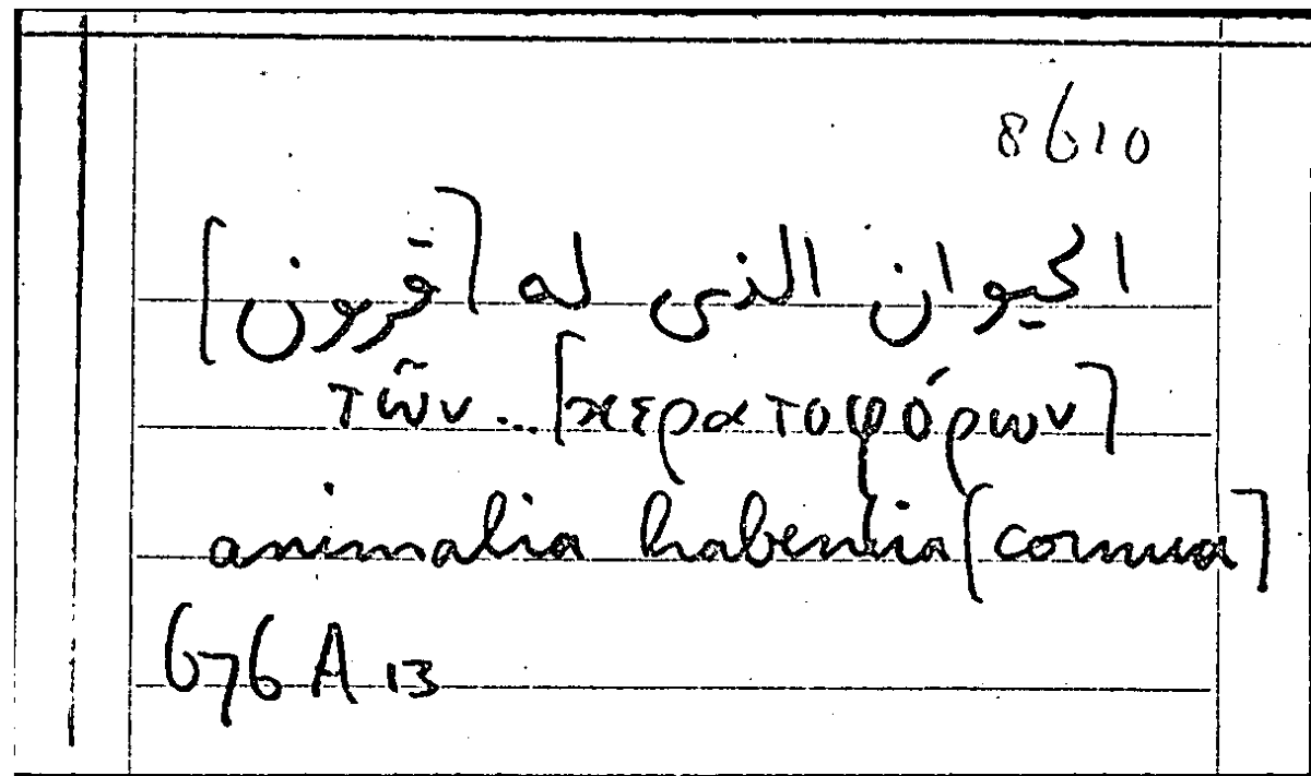 Filecard Arist.Part-anim.31065