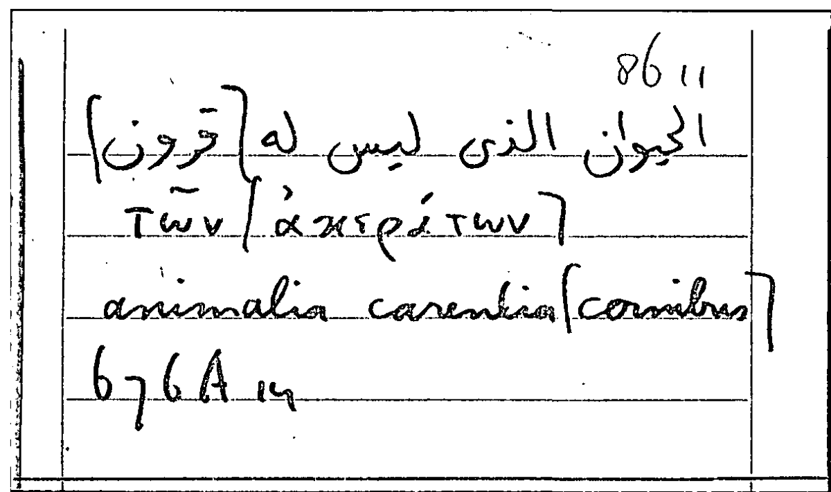 Filecard Arist.Part-anim.31066