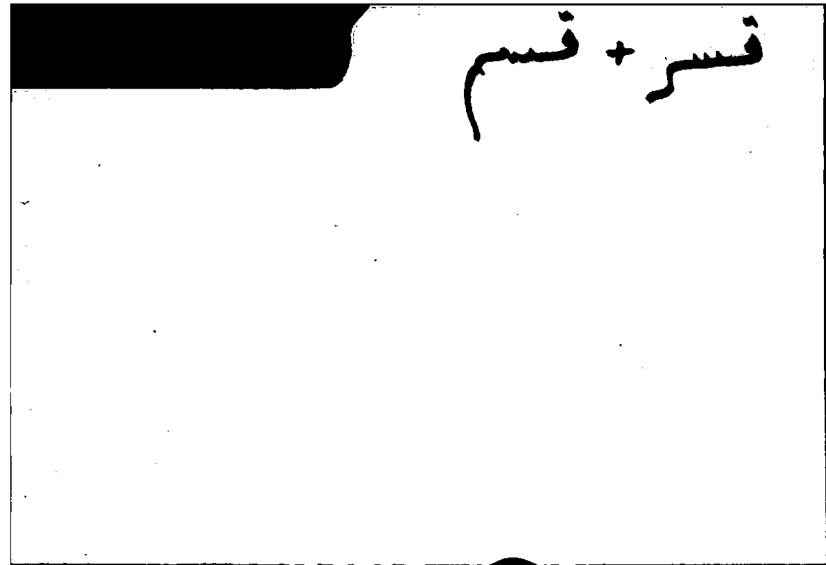 Filecard Arist.Part-anim.31067