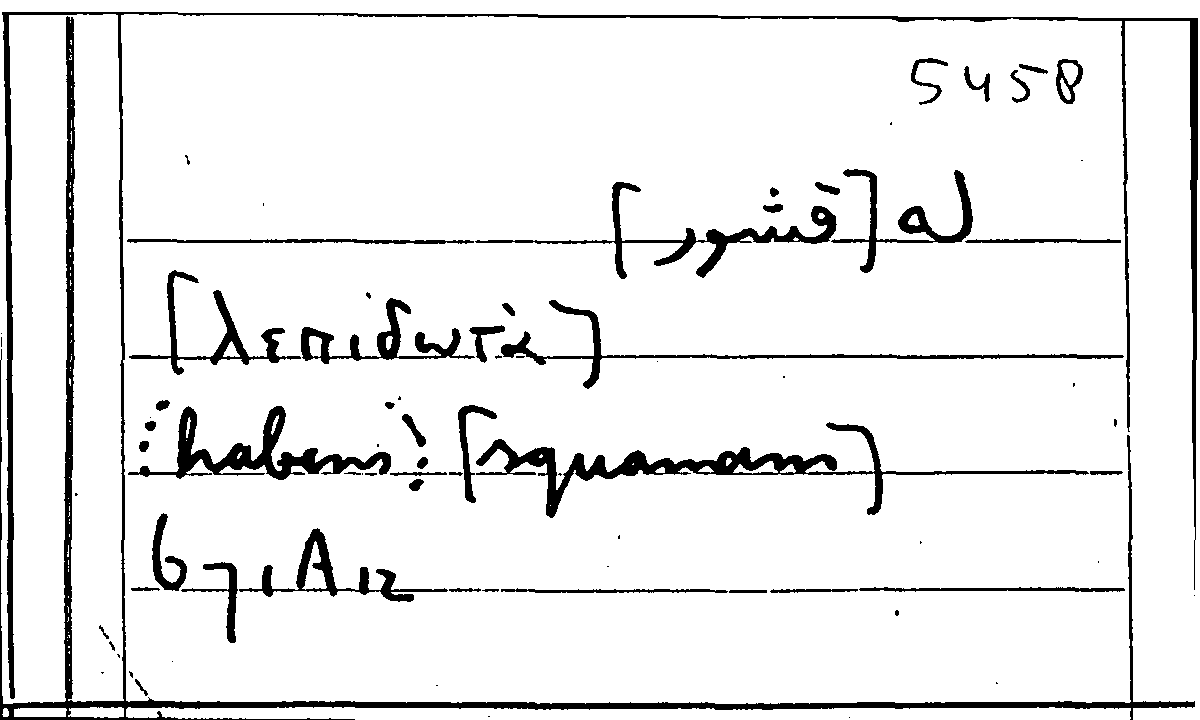 Filecard Arist.Part-anim.31081