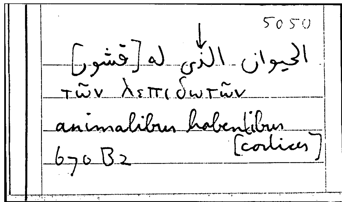 Filecard Arist.Part-anim.31084