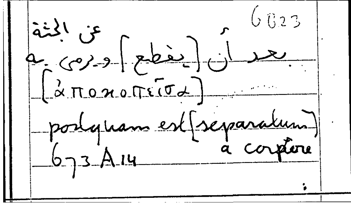Filecard Arist.Part-anim.31090