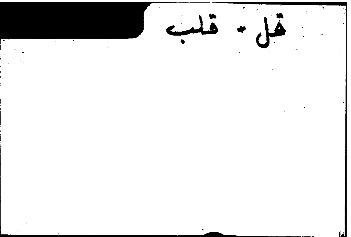 Filecard Arist.Part-anim.31098