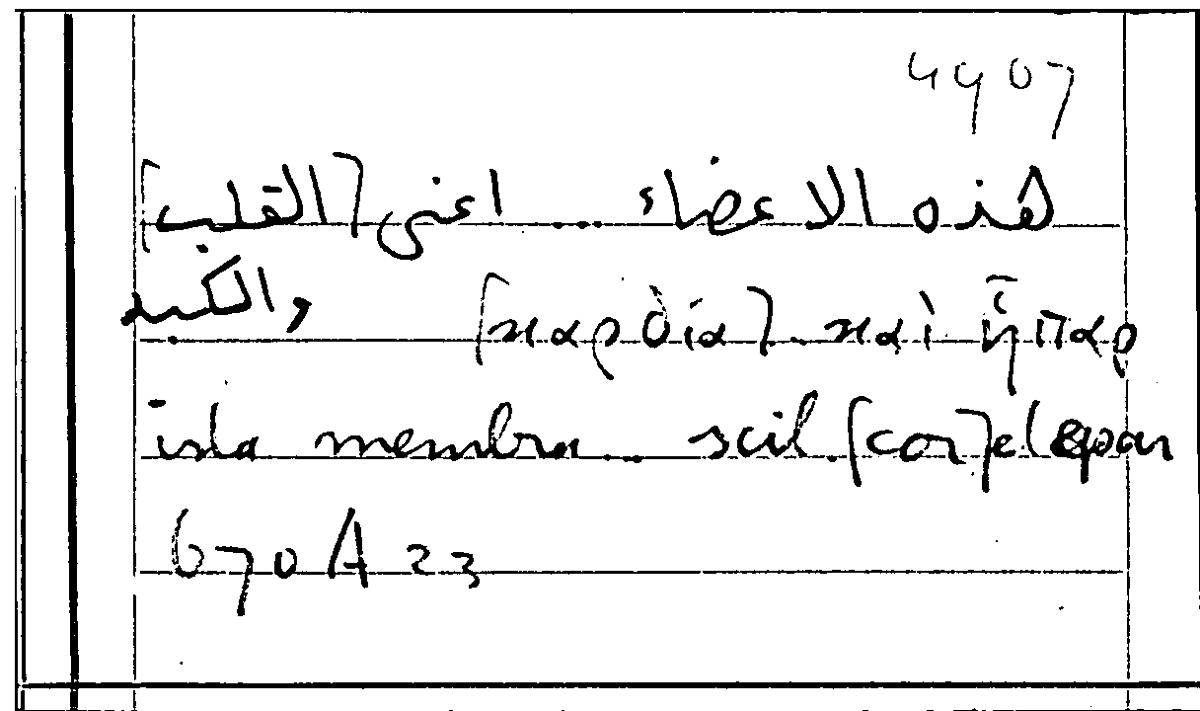 Filecard Arist.Part-anim.31152