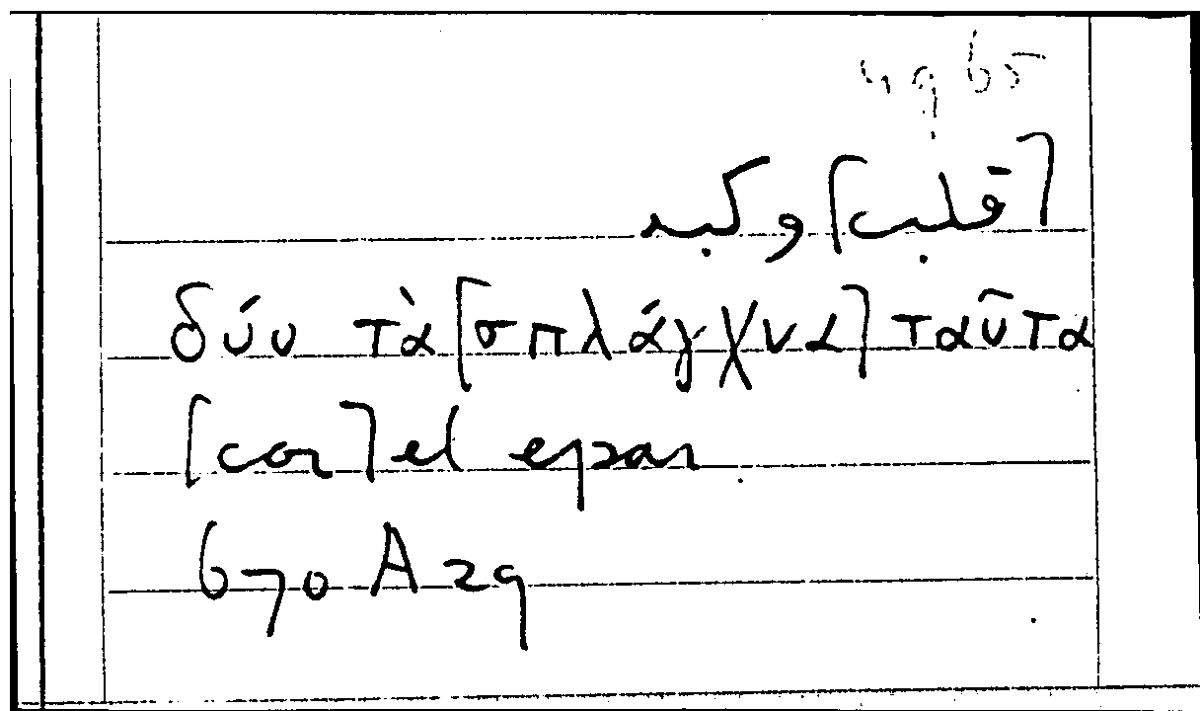 Filecard Arist.Part-anim.31153