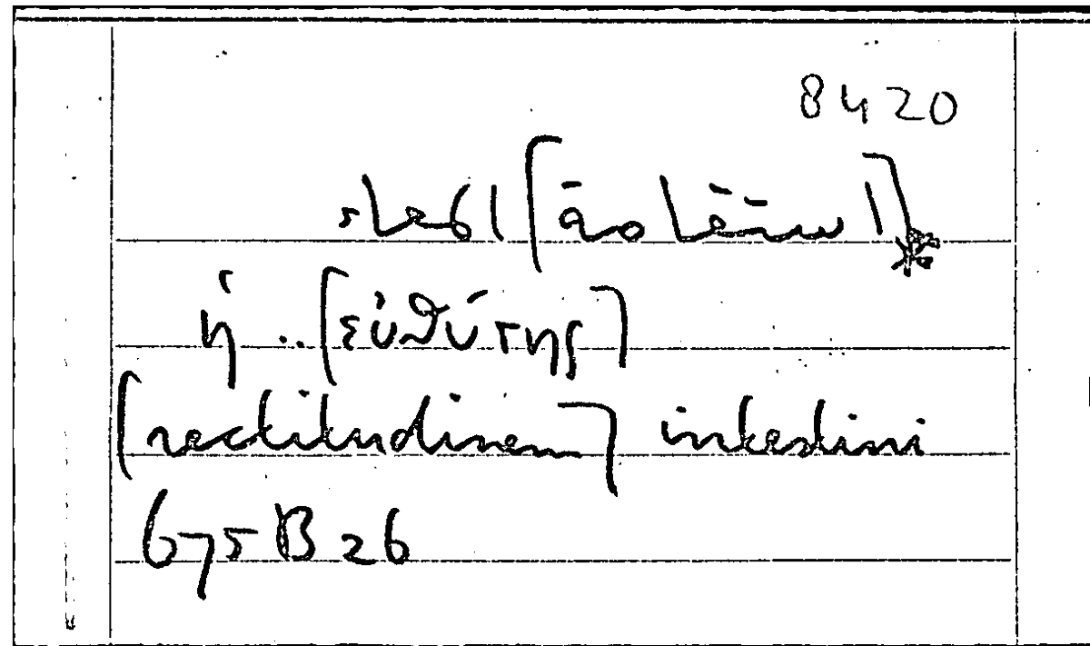 Filecard Arist.Part-anim.31256