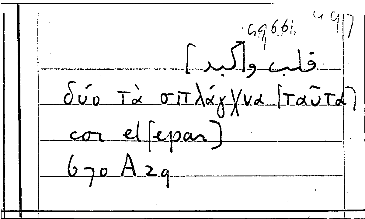 Filecard Arist.Part-anim.31373