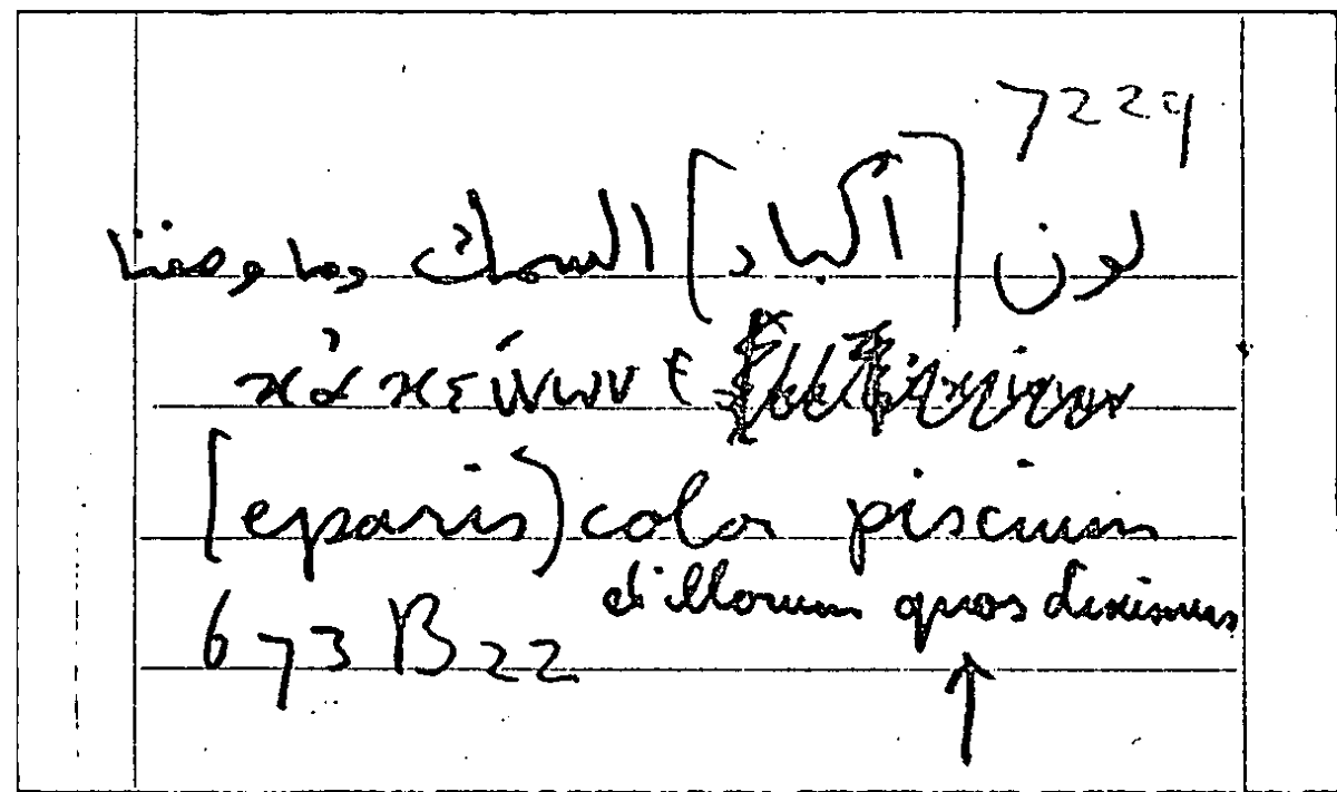 Filecard Arist.Part-anim.31379