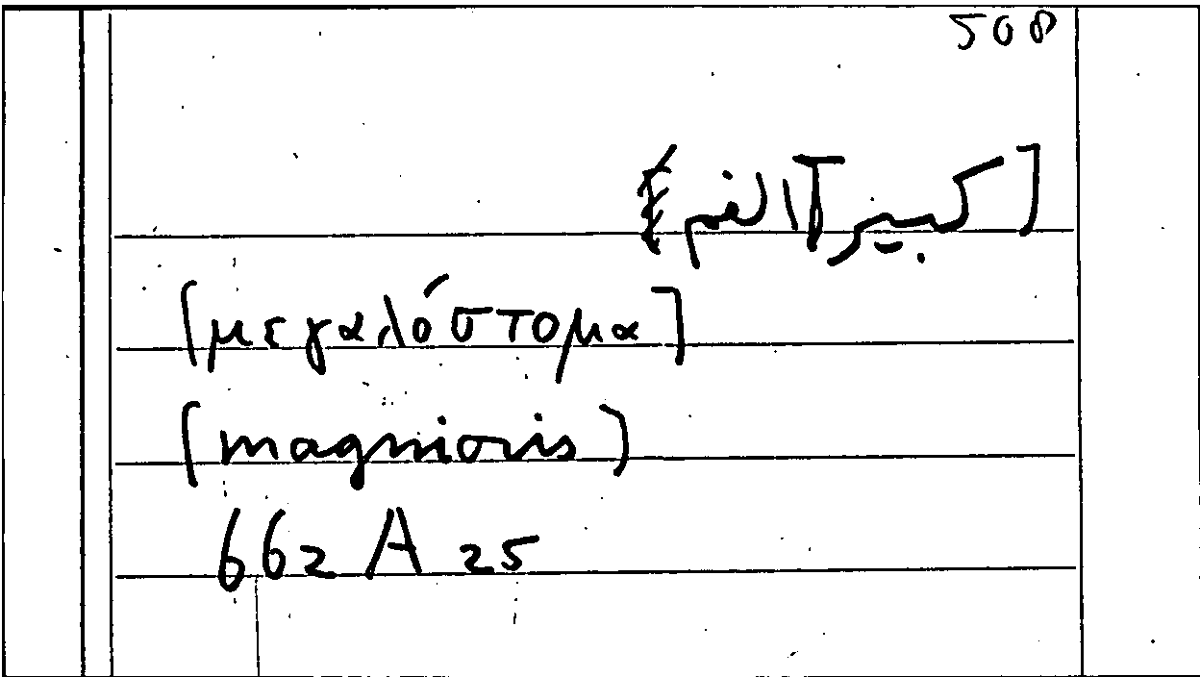 Filecard Arist.Part-anim.31386