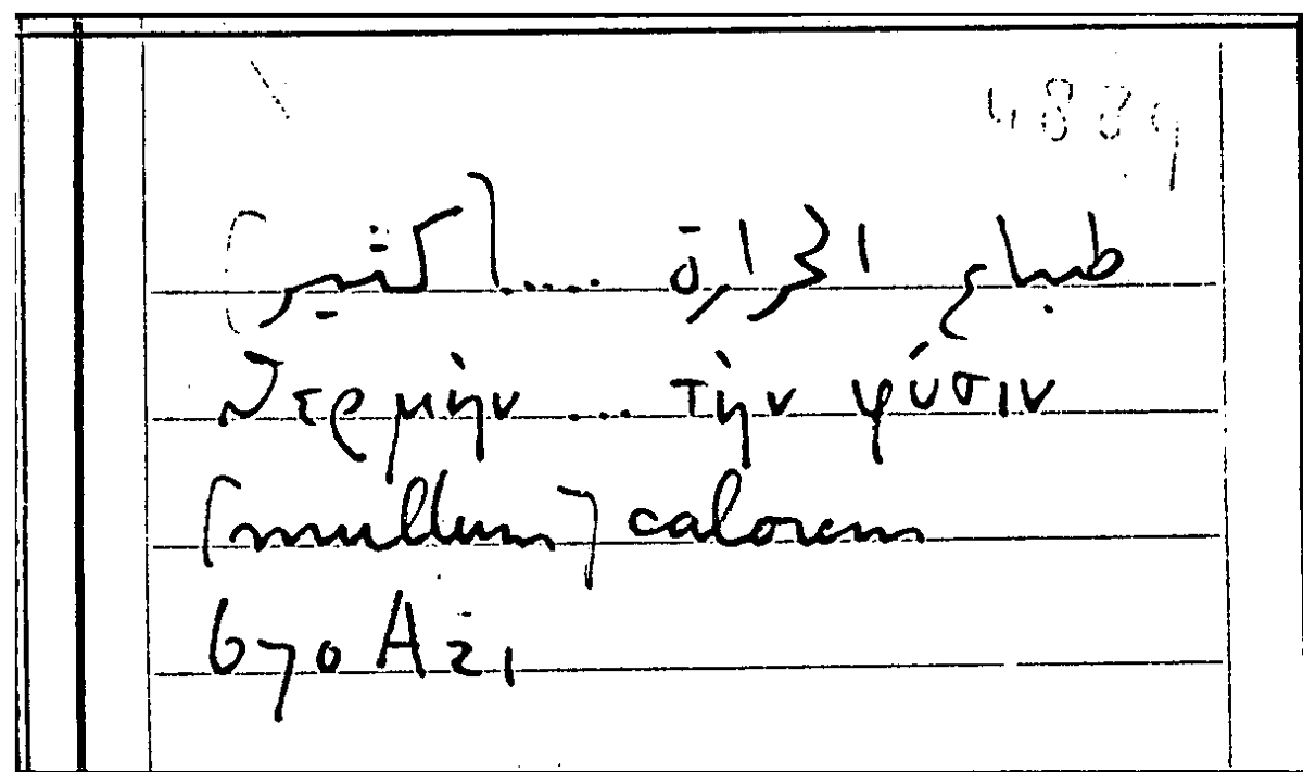 Filecard Arist.Part-anim.31448