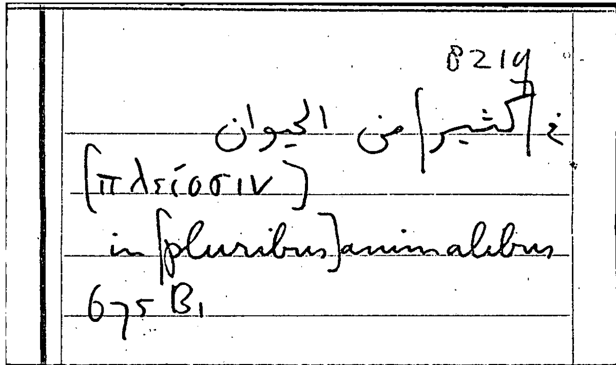 Filecard Arist.Part-anim.31462