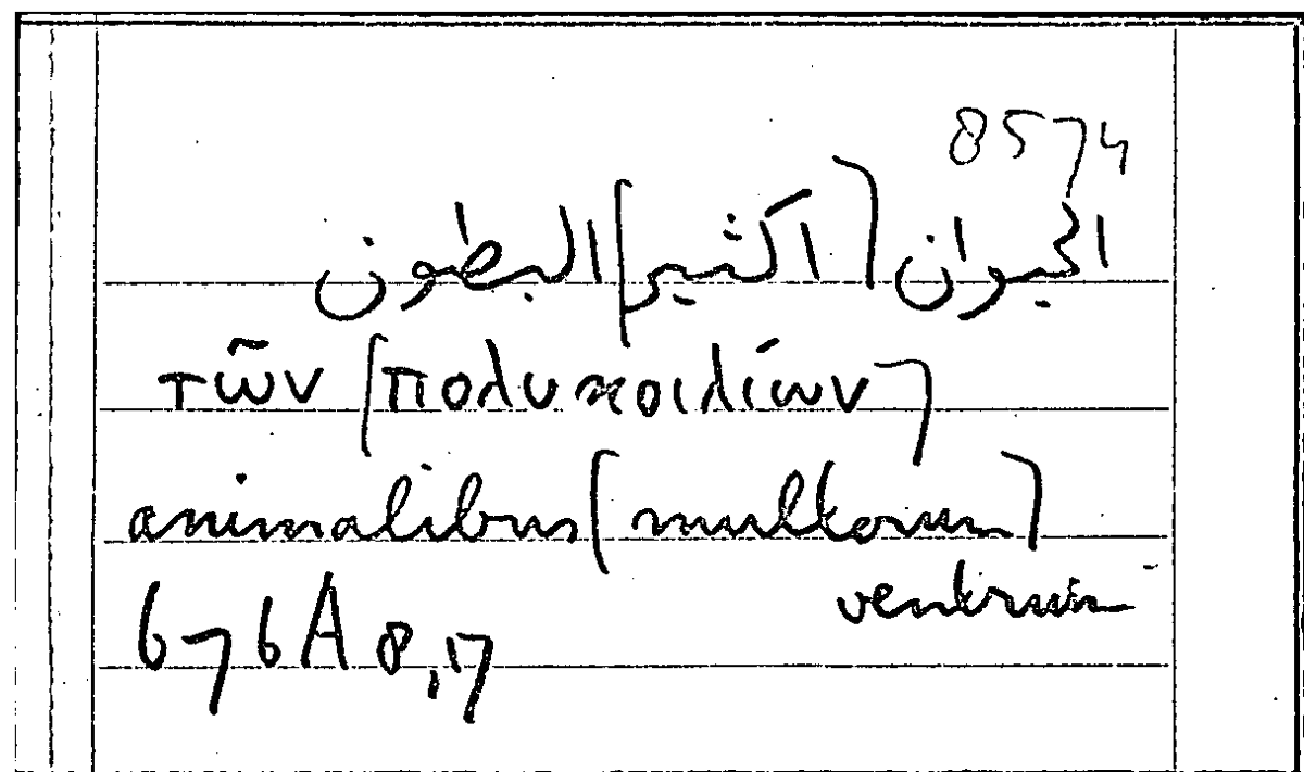 Filecard Arist.Part-anim.31466