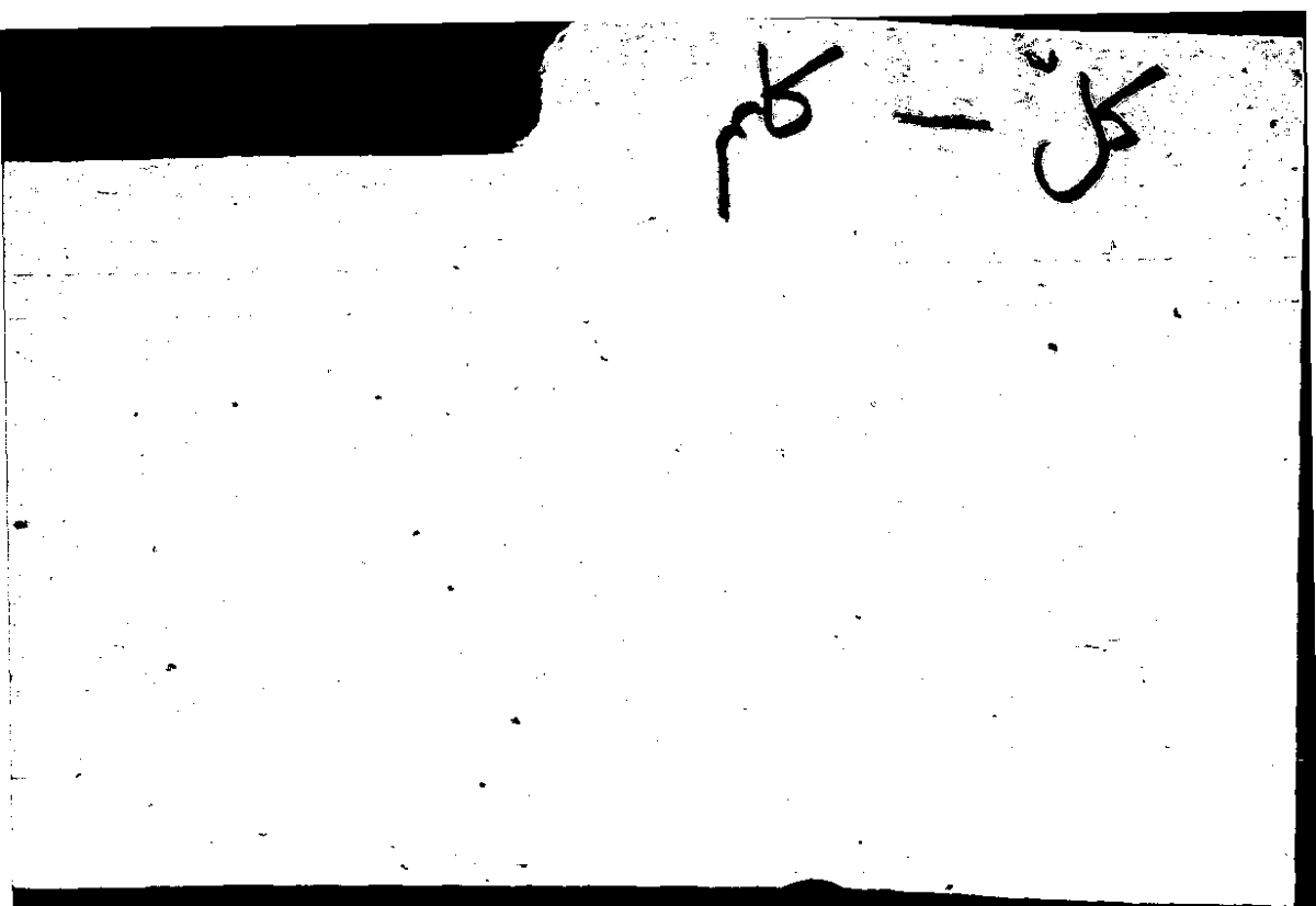 Filecard Arist.Part-anim.31558