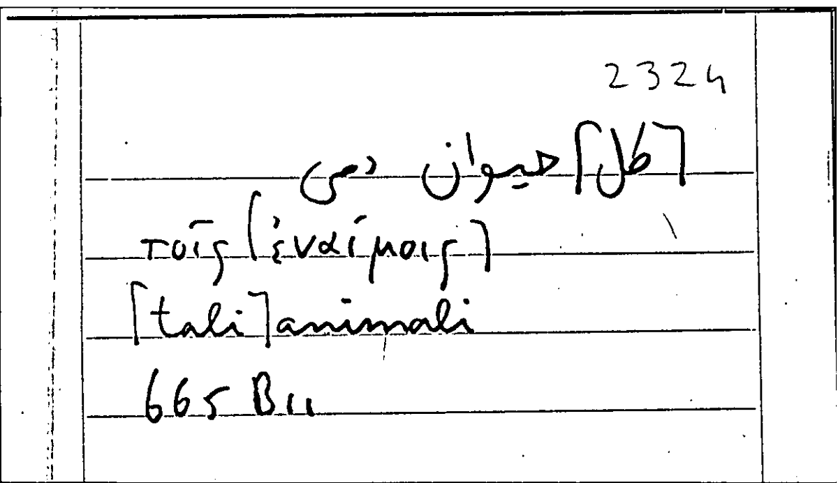 Filecard Arist.Part-anim.31570