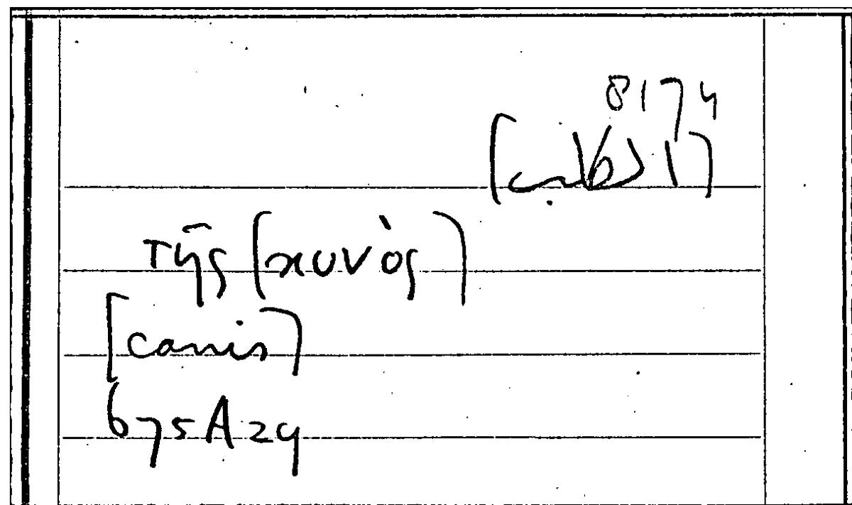 Filecard Arist.Part-anim.31613
