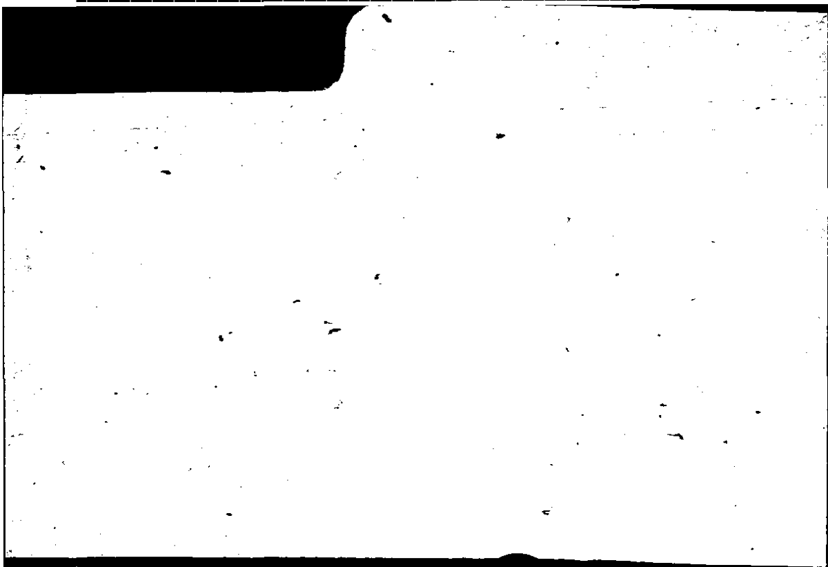 Filecard Arist.Part-anim.31626