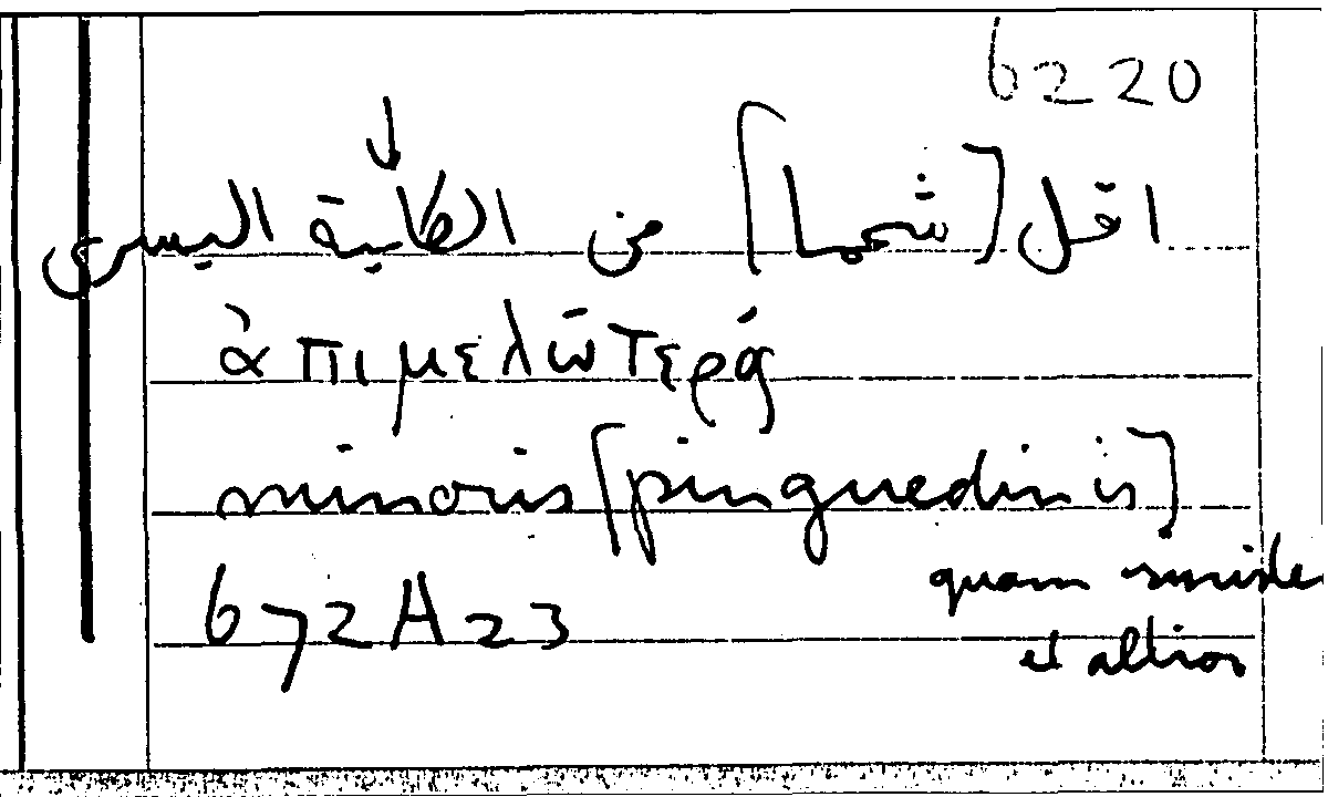 Filecard Arist.Part-anim.31628