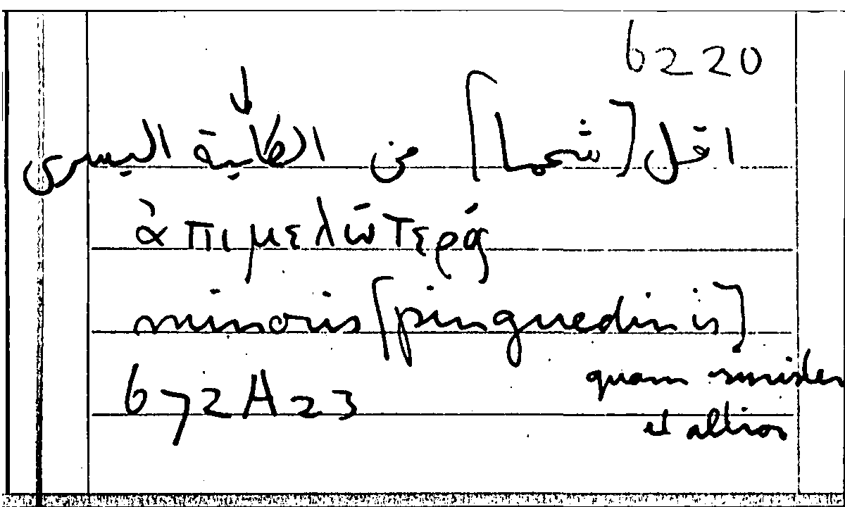 Filecard Arist.Part-anim.31629