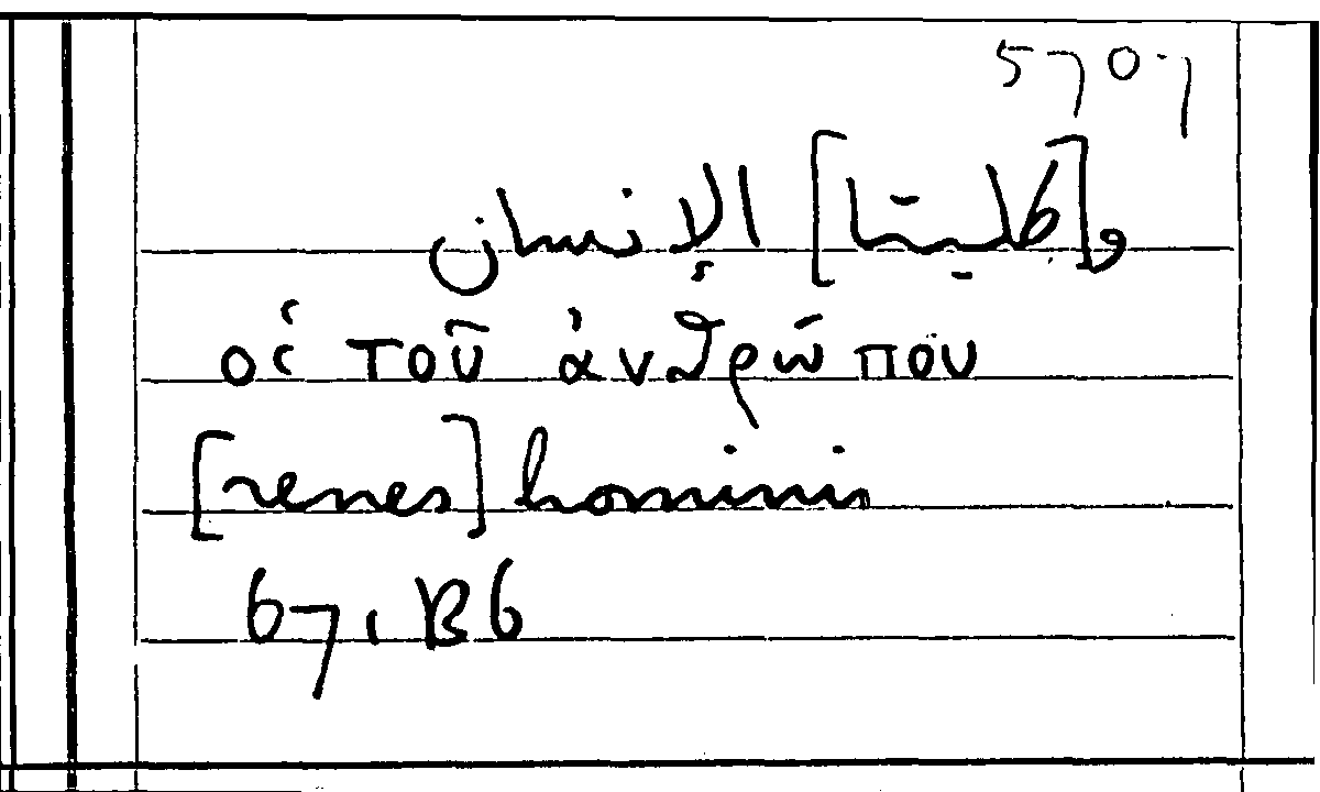 Filecard Arist.Part-anim.31642