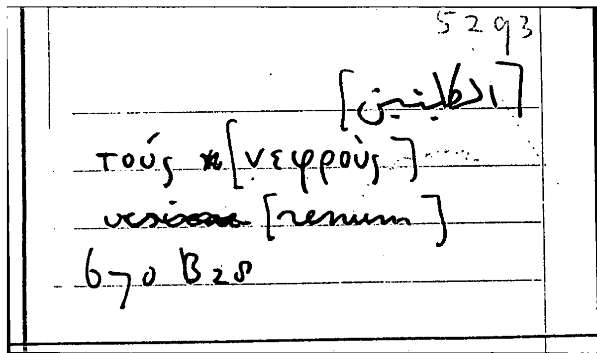 Filecard Arist.Part-anim.31645
