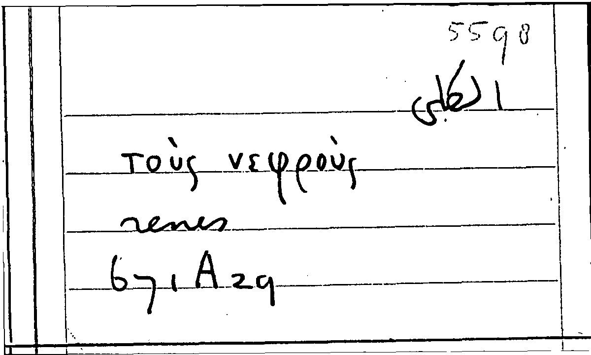 Filecard Arist.Part-anim.31667