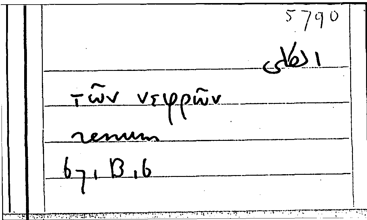 Filecard Arist.Part-anim.31676