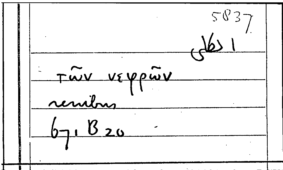 Filecard Arist.Part-anim.31678