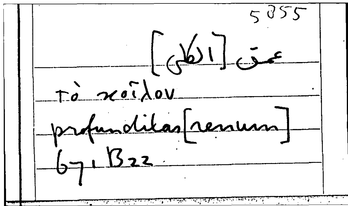 Filecard Arist.Part-anim.31679