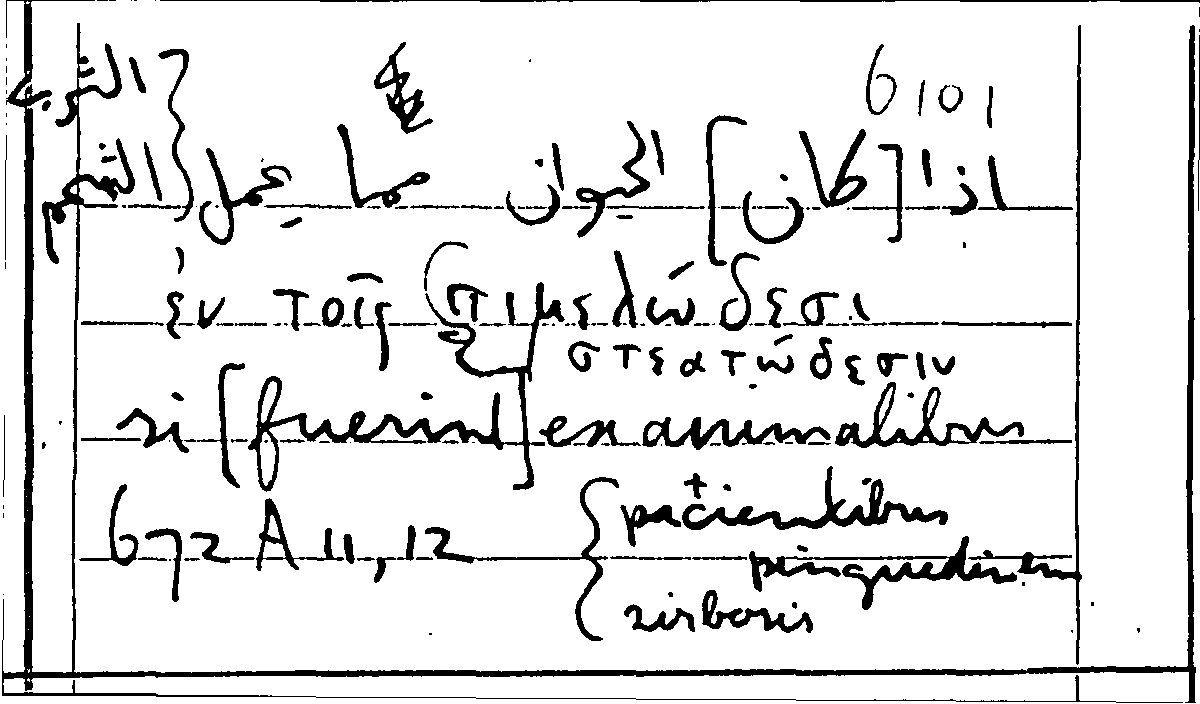 Filecard Arist.Part-anim.31746