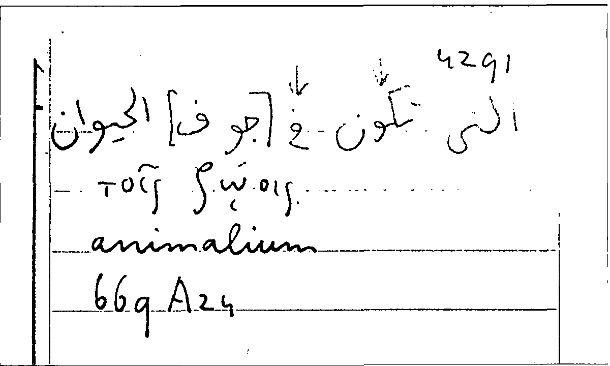 Filecard Arist.Part-anim.31865