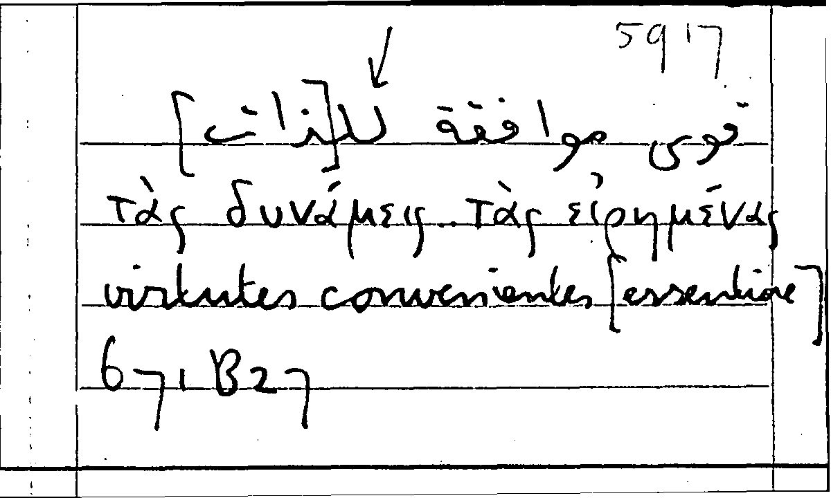Filecard Arist.Part-anim.32081